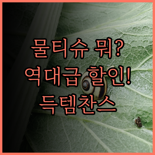 아기 물티슈 고민 끝! 워터 99, 베베숲 등 인기 브랜드 할인 정보
