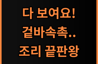 필립스 보이는 에어프라이어 4.2L 겉바속촉 조리 성능 완벽 후기