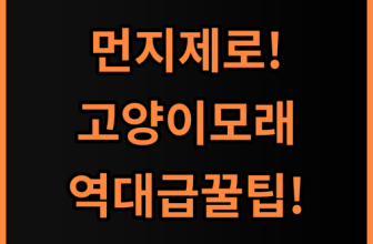 모래혁명 이노베이션 먼지없는 고양이모래 내돈내산 추천과 사용 팁
