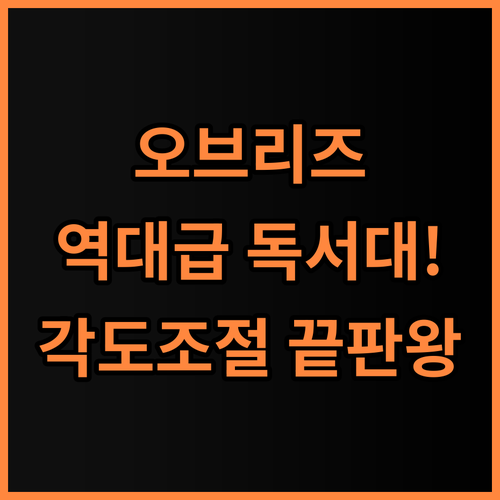 오브리즈 휴대용 독서대 추천 가죽 파우치 구성과 세밀한 각도 조절이 매력적인 사용 후기