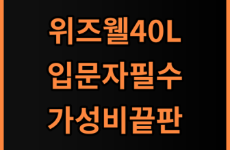 위즈웰 데일리 오븐 40L 홈베이킹 입문자를 위한 가성비 제품 추천