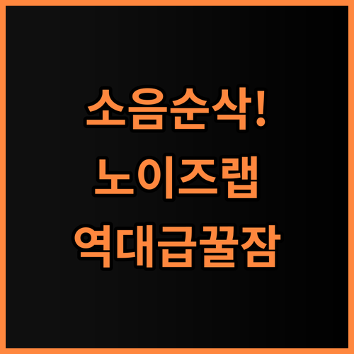 노이즈랩 수면귀마개 편안한 숙면을 위한 소음 차단 이어플러그 추천