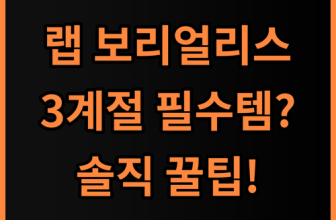 랩 보리얼리스 후디 등산자켓 솔직 후기, 3계절 운행용 활용 팁 총정리