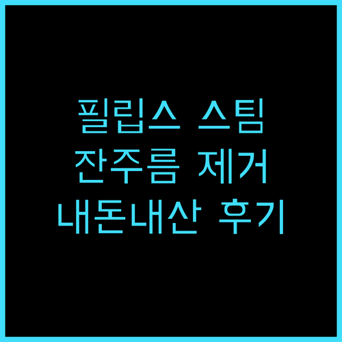 필립스 스팀 다리미 7000 시리즈 STH7030/18 내돈내산 만족 후기 잔주름까지 완벽 제거 비법 필립스 스팀다리미 다림질 주름제거 솔직후기