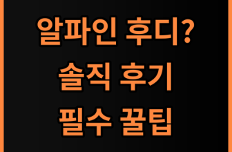 알파인 스타트 후디 MENS 솔직 후기, 사계절 아웃도어 활동을 위한 구매 팁 공유