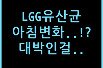 더블핏 LGG 100억 유산균 한 달 먹고 느낀 아침의 변화