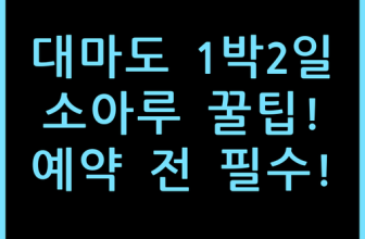 대마도 소아루리조트 1박2일 패키지 추천, 예약 전 체크 포인트 총정리