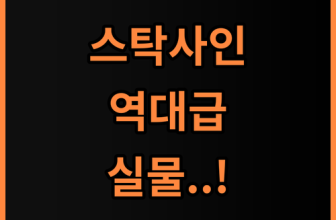 스탁사인 캐리어 톨디 세련된 디자인과 견고한 내구성 겸비한 완벽 후기