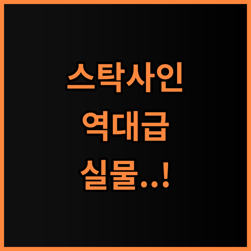 스탁사인 캐리어 톨디 세련된 디자인과 견고한 내구성 겸비한 완벽 후기