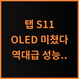 삼성전자 갤럭시탭 S11 추천 후기 선명한 OLED와 강력한 성능의 조화