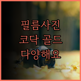 필름 사진의 즐거움 코닥 필름으로 시작하세요 골드 200 컬러 플러스 200 등 다양한 종류 소개