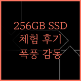 SSD 256GB, 사용자들의 뜨거운 리뷰! 지금 바로 경험해보세요!
