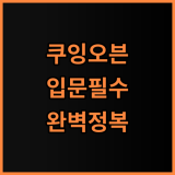 쿠잉 컨벡션스팀오븐 홈베이킹 입문자를 위한 완벽 사용 후기