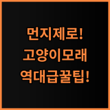 모래혁명 이노베이션 먼지없는 고양이모래 내돈내산 추천과 사용 팁