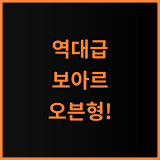 보아르 에이블 듀얼 오븐 에어프라이어 후기 대용량 스테인리스 오븐형 가전 최고의 선택