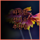 올겨울 따뜻하게! 인기 전기요, 지금 바로 확인하세요
