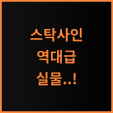 스탁사인 캐리어 톨디 세련된 디자인과 견고한 내구성 겸비한 완벽 후기